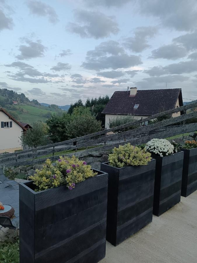 Gite Luxury***** avec Bar à Soultzeren Extérieur photo
